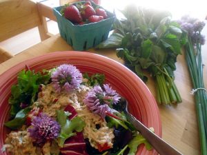 tuna-salad-with-fresh-herbs