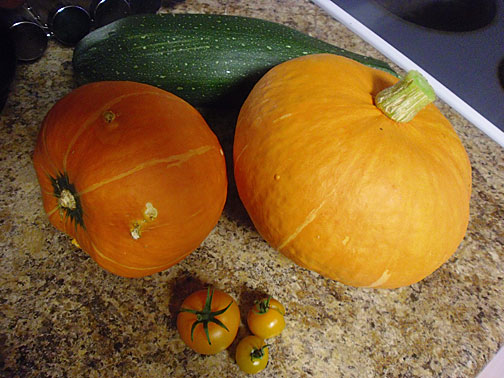 Kuri Squash with Yellow Tomatoes and Zucchini