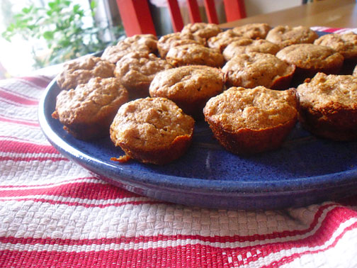 Apple Cinnamon Coconut Muffins