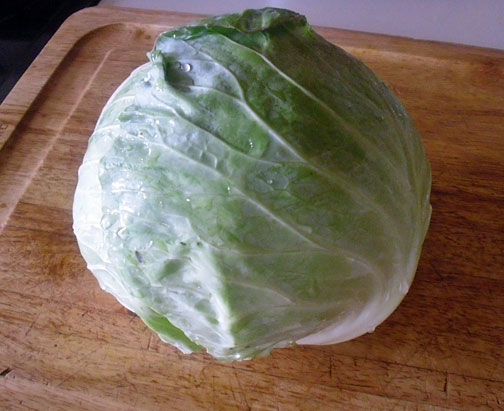 cabbage