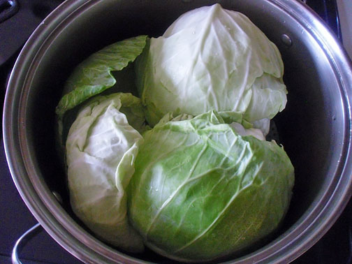 cabbageinpot